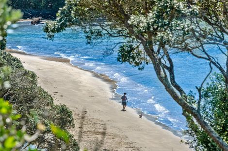 Photo of property in 17 Bournemouth Terrace, Murrays Bay, Auckland, 0630