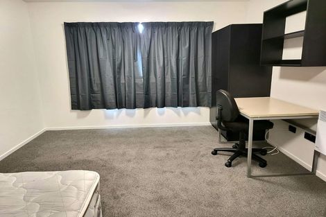 Photo of property in Martin Square Apartments, 203/20 Martin Square, Te Aro, Wellington, 6011