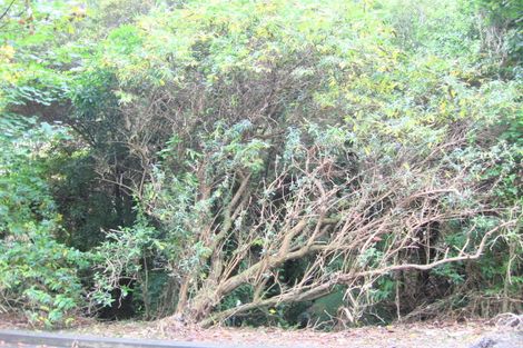 Photo of property in 81 Elmslie Road, Pinehaven, Upper Hutt, 5371