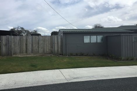 Photo of property in 66 Moana Crescent, Mangakino, 3421