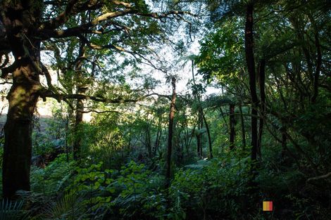 Photo of property in 166b Heard Road, Waihi, 3681