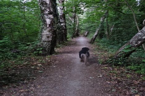 Photo of property in 17 Torquay Terrace, Hanmer Springs, 7334