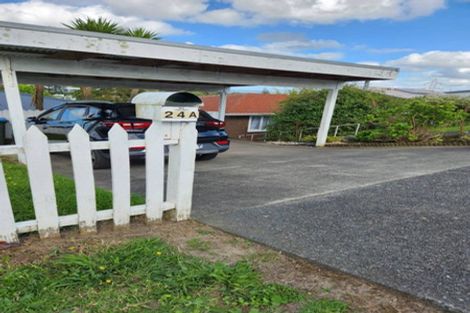 Photo of property in 24a Ellis Avenue, Mount Roskill, Auckland, 1041