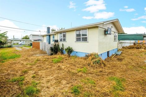 Photo of property in 91 Ferguson Road, Otara, Auckland, 2023