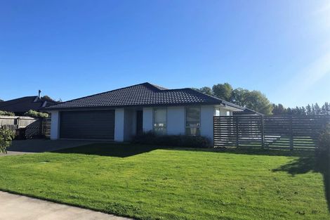 Photo of property in 12 Maeburn Street, Witherlea, Blenheim, 7201