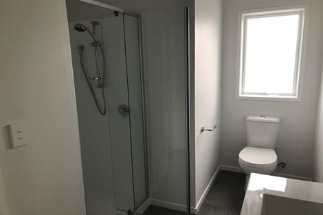 Photo of property in 24/10 Burrows Place, Frankton, Hamilton, 3204