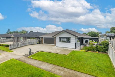 Photo of property in 42 Nancy Avenue, Feilding, 4702