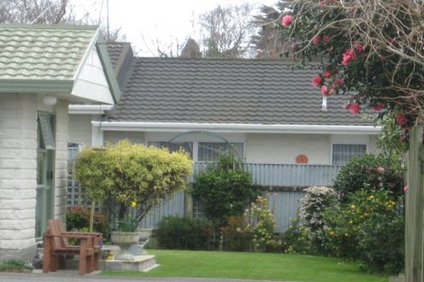 Photo of property in 81b Winchester Street, Levin, 5510