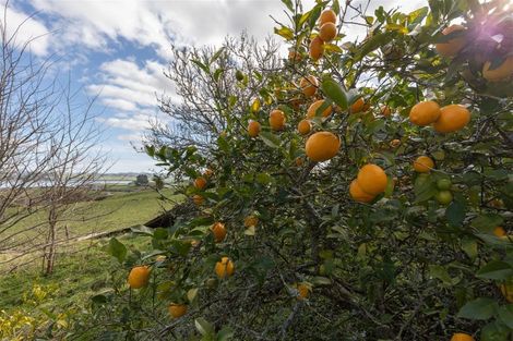 Photo of property in 171 Hetherington Road, Huntly, 3772