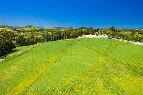 Photo of property in 2116 Cove Road, Mangawhai, Kaiwaka, 0573