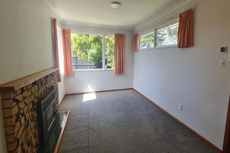 Photo of property in 20a Taupo Avenue, Mount Maunganui, 3116