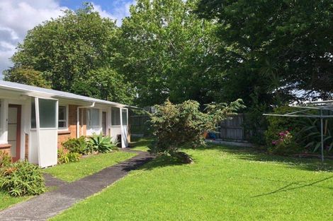Photo of property in 52 Buscomb Avenue, Henderson, Auckland, 0610
