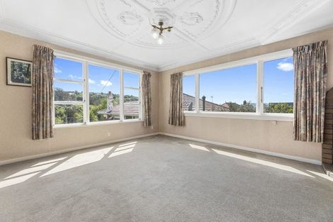 Photo of property in 511 South Road, Calton Hill, Dunedin, 9012