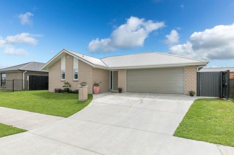 Photo of property in 31 Ladeira Place, Fitzroy, Hamilton, 3206