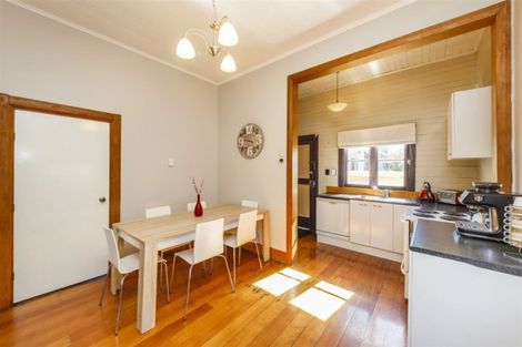 Photo of property in 17 Limbrick Street, Terrace End, Palmerston North, 4410