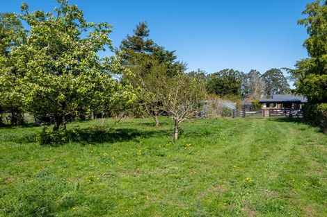 Photo of property in 308 Bush Road, Oxford, 7495