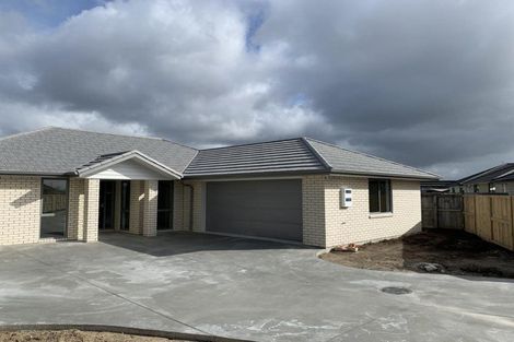 Photo of property in 199 Borman Road, Rototuna North, Hamilton, 3210