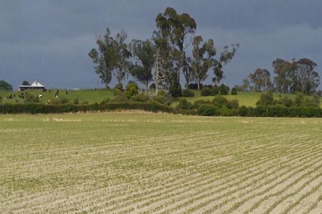 Photo of property in 53 Friedlander Road, Eureka, Hamilton, 3287