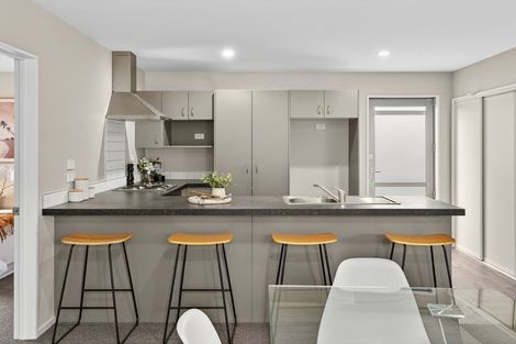 Photo of property in 117a Ruskin Street, Addington, Christchurch, 8024