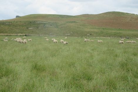 Photo of property in 359 Mangatarata Road, Waipukurau, 4285