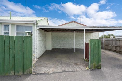 Photo of property in 48c Meadow Street, Mornington, Dunedin, 9011