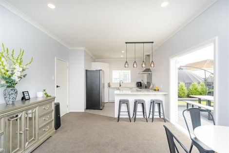 Photo of property in 29 Limbrick Street, Terrace End, Palmerston North, 4410