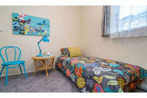 Photo of property in 117 Riselaw Road, Calton Hill, Dunedin, 9012