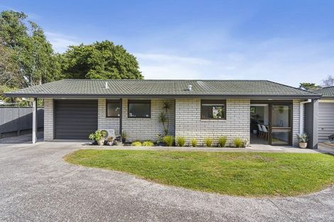 Photo of property in 5c Cameron Road, Te Puke, 3119