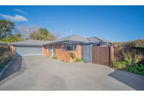 Photo of property in 42a Frankleigh Street, Somerfield, Christchurch, 8024