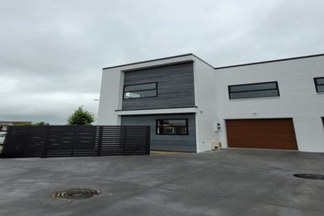 Photo of property in 1/24 Endeavour Avenue, Flagstaff, Hamilton, 3210