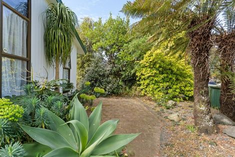 Photo of property in 16 Bayview Street, Te Puke, 3119