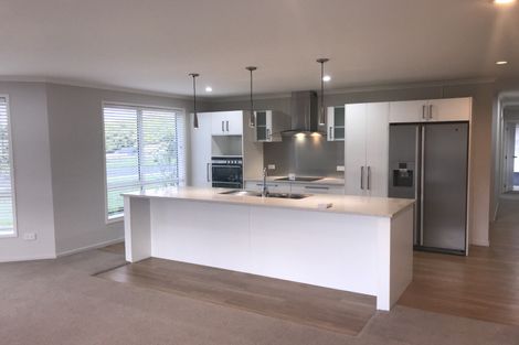Photo of property in 18 William Andrew Road, Pukekohe, 2120