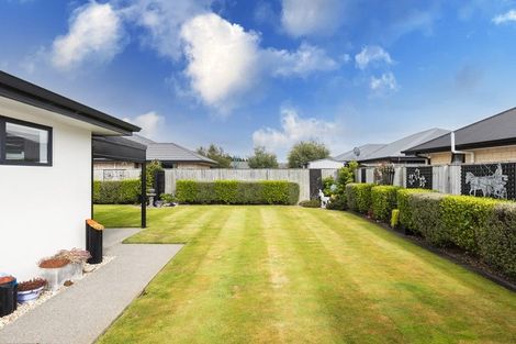 Photo of property in 31 Blackburn Street, Kaiapoi, 7630