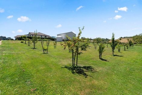 Photo of property in 31 Glenroy Place, Tikitere, Rotorua, 3074
