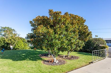 Photo of property in 1175 Tiki Sh25 Road, Coromandel, 3506