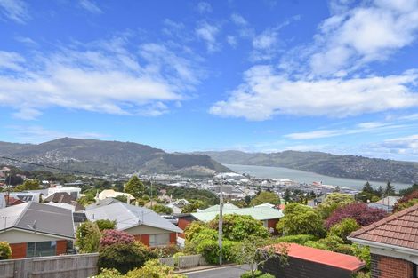 Photo of property in 22 Charlotte Street, Roslyn, Dunedin, 9010