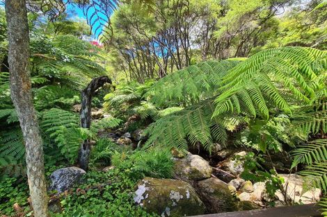 Photo of property in 340 Buffalo Road, Coromandel, 3506