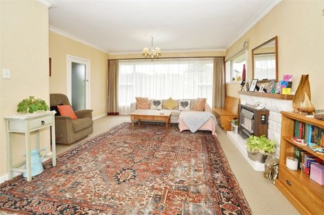 Photo of property in 24 Riverview Terrace, Fairfield, Hamilton, 3214