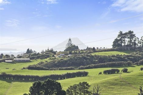 Photo of property in 857b Upper Ohauiti Road, Ohauiti, Tauranga, 3173