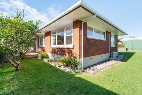 Photo of property in 22 Woods Avenue, Matua, Tauranga, 3110