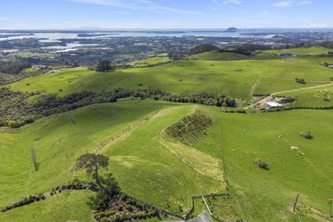Photo of property in 596a Minden Road, Minden, Tauranga, 3176