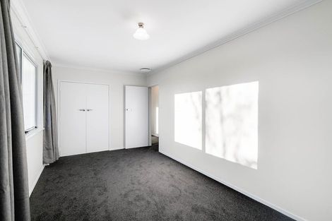 Photo of property in 60 Fitzroy Avenue, Fitzroy, Hamilton, 3206