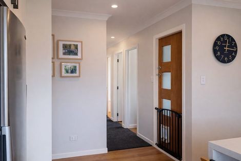 Photo of property in 9 Shanly Street, Waipawa, 4210