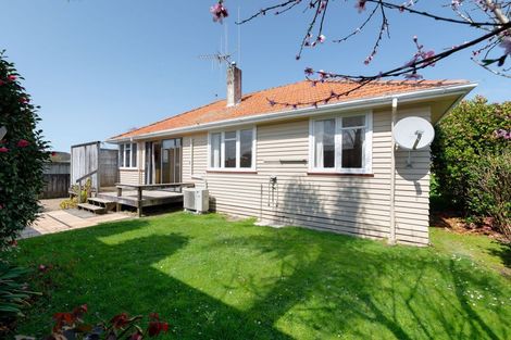 Photo of property in 11 Hockin Place, Fairfield, Hamilton, 3214