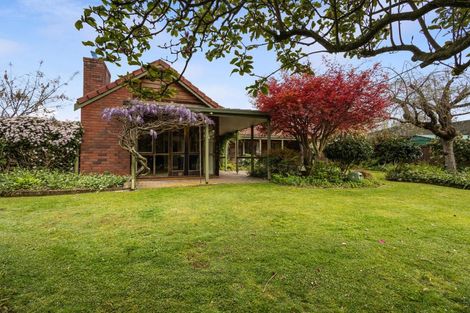 Photo of property in 15 Weka Street, Matamata, 3400