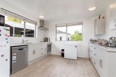 Photo of property in 21 Freyberg Street, Solway, Masterton, 5810