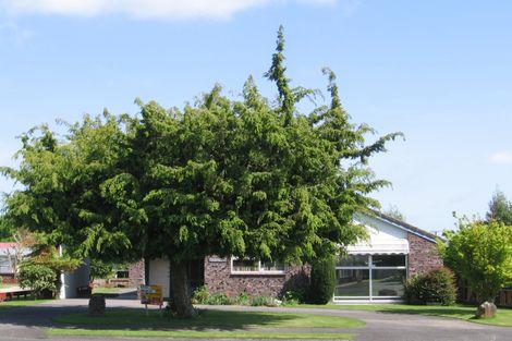 Photo of property in 6 Tawari Street, Matamata, 3400