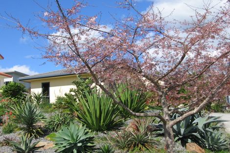 Photo of property in 6 Summerhaven Place, Ohauiti, Tauranga, 3112