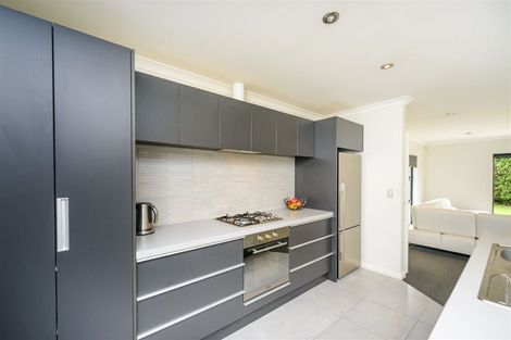 Photo of property in 12a Conway Place, Terrace End, Palmerston North, 4410