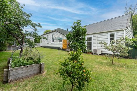 Photo of property in 463 High Street South, Carterton, 5713